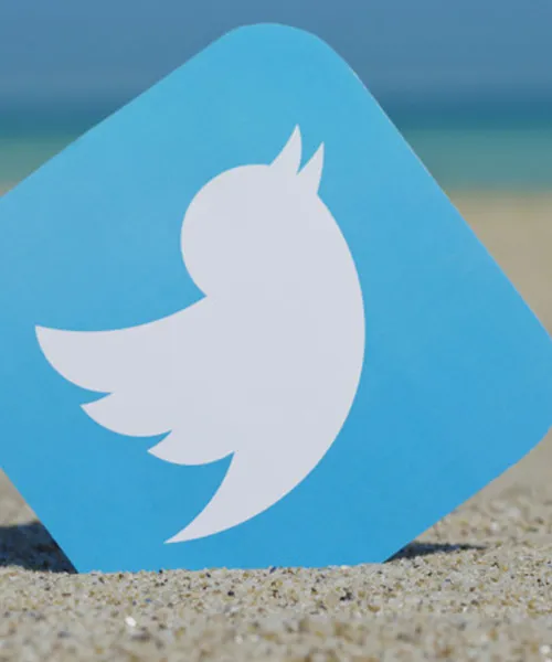 Twitter Ads / PPC services