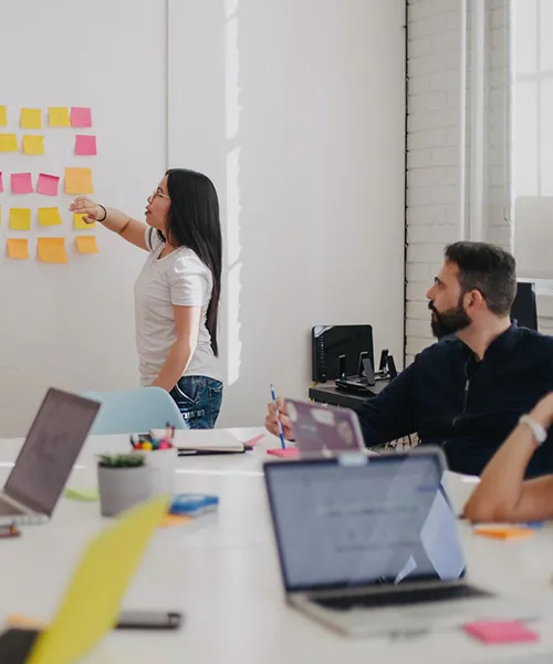 CMS management services