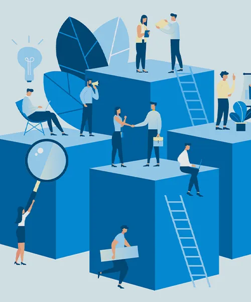 CMS management explained