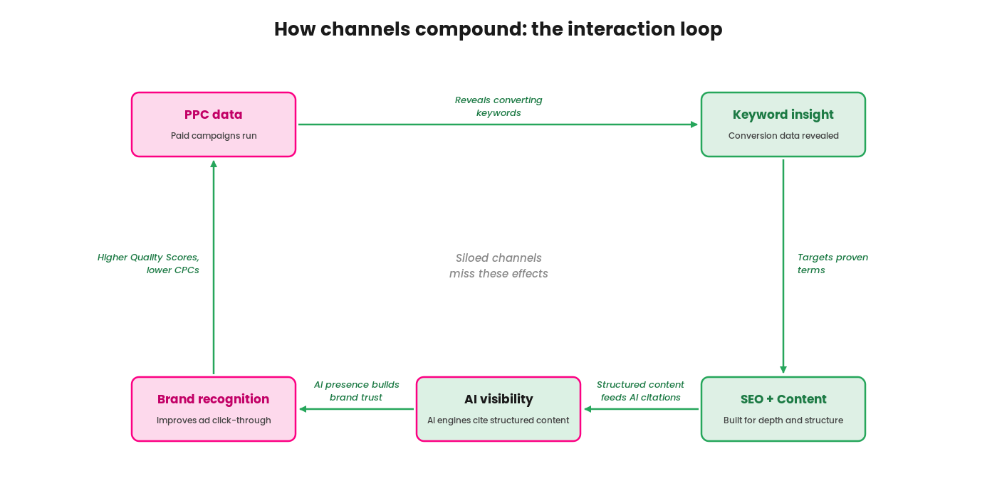 A five-stage circular loop showing how digital marketing channels reinforce each other when run together. PPC data (magenta) reveals converting keywords, which targets proven terms in SEO and content (green), whose structured content feeds AI visibility (green node with magenta border), whose AI presence builds brand recognition (magenta), whose recognition delivers higher Quality Scores and lower cost-per-click back into PPC data, completing the loop. Curved arrows flow clockwise between the five rounded-rectangle nodes; each arrow carries a small label describing the interaction mechanism. A subtle grey italic centre annotation reads "Siloed channels miss these effects"